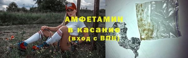 стафф Алексин