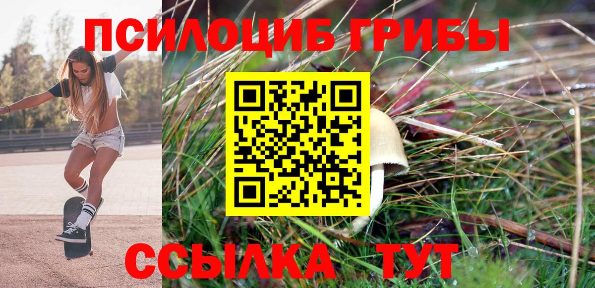 Галлюциногенные грибы GOLDEN TEACHER Кудрово